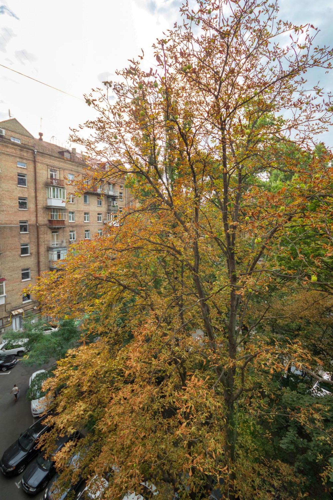 Central Apartments Київ Екстер'єр фото